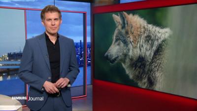 Hamburg Journal: 18:00 Uhr