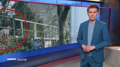 Hamburg Journal: 18:00 Uhr