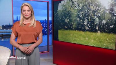 Hamburg Journal: 18:00 Uhr