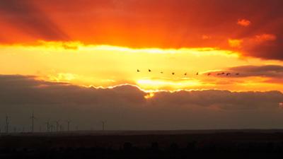 Hanseblick - So wild ist Mecklenburg: So wild ist Mecklenburg