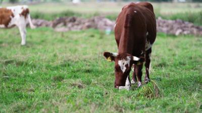 Hofgeschichten - Zukunft aufm Land