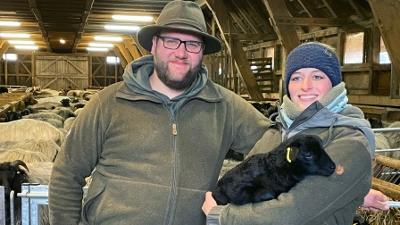 Hofgeschichten: Leben auf dem Land: "Meet the sheep" zur Heideblüte