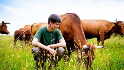 Hofgeschichten: Leben auf dem Land: Neugeborenes Kalb bekommt Ohrmarke