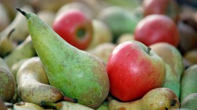 Kochen mit Martina und Moritz: Äpfel und Birnen: Süße und herzhafte Herbstfreuden