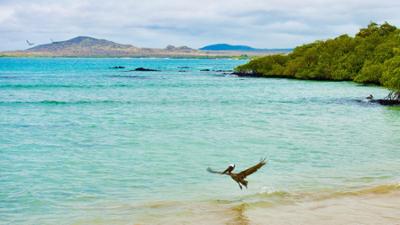 Länder - Menschen - Abenteuer: Galapagos - Leben im Nationalpark