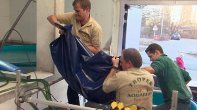 Leopard, Seebär & Co.: Fischladung aus Down Under (96)