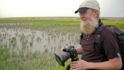NaturNah: Manchmal Meer, manchmal Land - Leben zwischen Ebbe und Flut