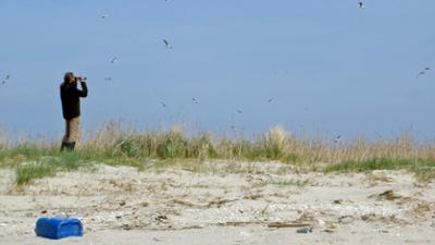 NaturNah: Der Inselvogt von Memmert - Enno Janßen und seine einsame Insel