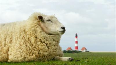 Naturwunder Deutschland: Von der Nordsee zu den Alpen