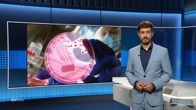 NDR Info: 21:45 NDR Info: 21:45