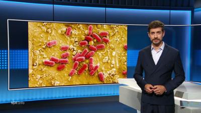 NDR Info: 21:45