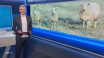 NDR Info: 16:00