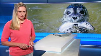 NDR Info: 17:00