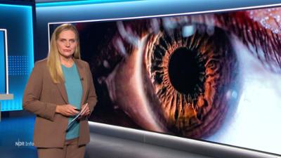 NDR Info: 17:00