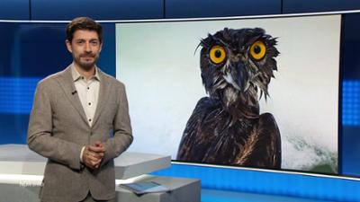 NDR Info: 21:45