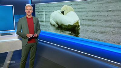 NDR Info: 15:00