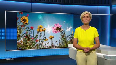 NDR Info: 21:45
