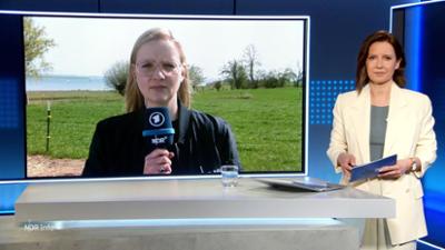 NDR Info: 15:00