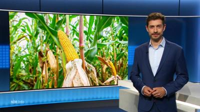 NDR Info: 21:45