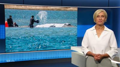 NDR Info: 21:45