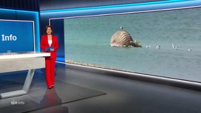 NDR Info: 17:00