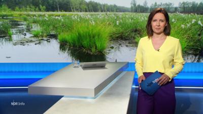 NDR Info: 16:00