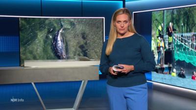NDR Info: 17:00