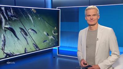 NDR Info: 16:00 NDR Info: 16:00