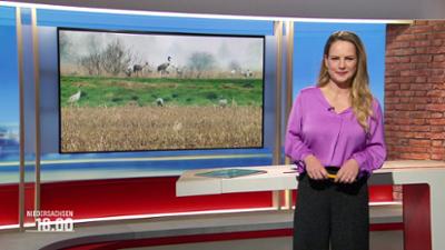 Niedersachsen 18.00