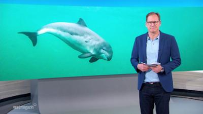 Nordmagazin
