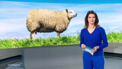 Nordmagazin