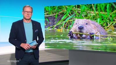 Nordmagazin