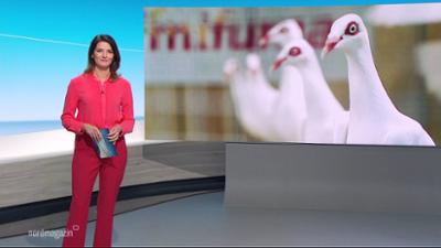 Nordmagazin