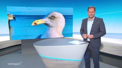 Nordmagazin - Land und Leute