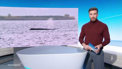 Nordmagazin - Land und Leute