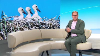 Nordmagazin - Land und Leute