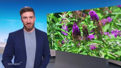 Nordmagazin - Land und Leute