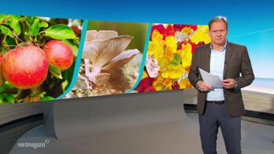 Nordmagazin - Land und Leute