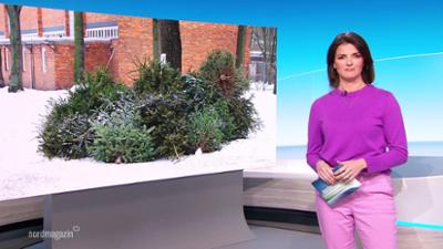 Nordmagazin - Land und Leute