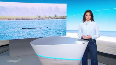 Nordmagazin - Land und Leute