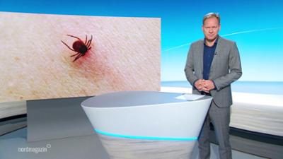 Nordmagazin - Land und Leute