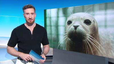 Nordmagazin - Land und Leute
