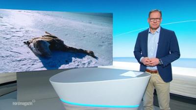 Nordmagazin - Land und Leute