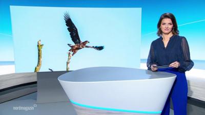 Nordmagazin - Land und Leute