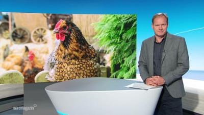 Nordmagazin - Land und Leute