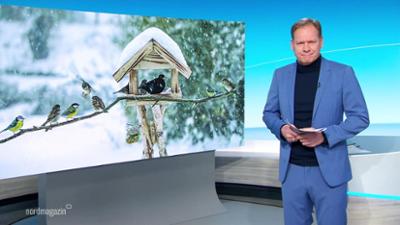 Nordmagazin - Land und Leute