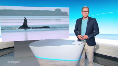 Nordmagazin - Land und Leute