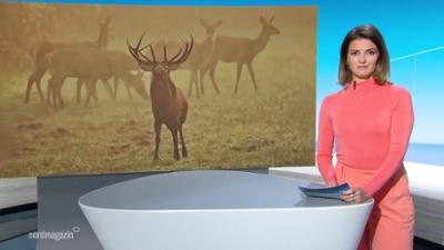 Nordmagazin - Land und Leute