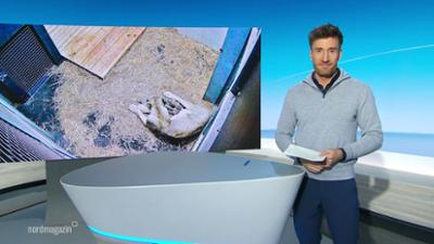 Nordmagazin - Land und Leute