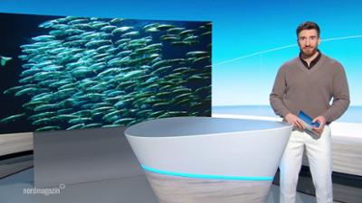 Nordmagazin - Land und Leute